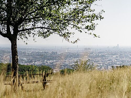 Fahrradroute zum Lainzer Tiergarten Wien