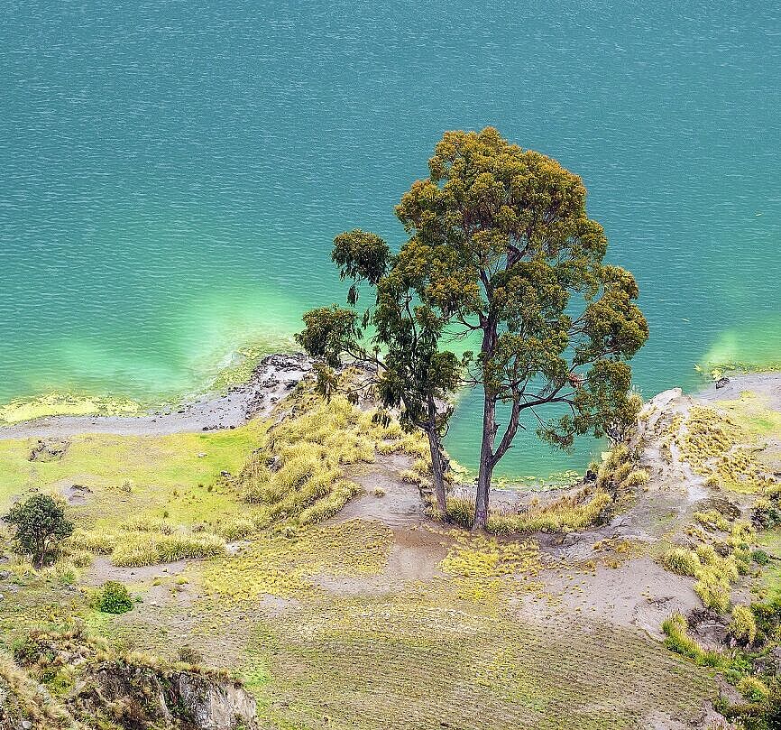 Smaragd-farbenes Ecuador