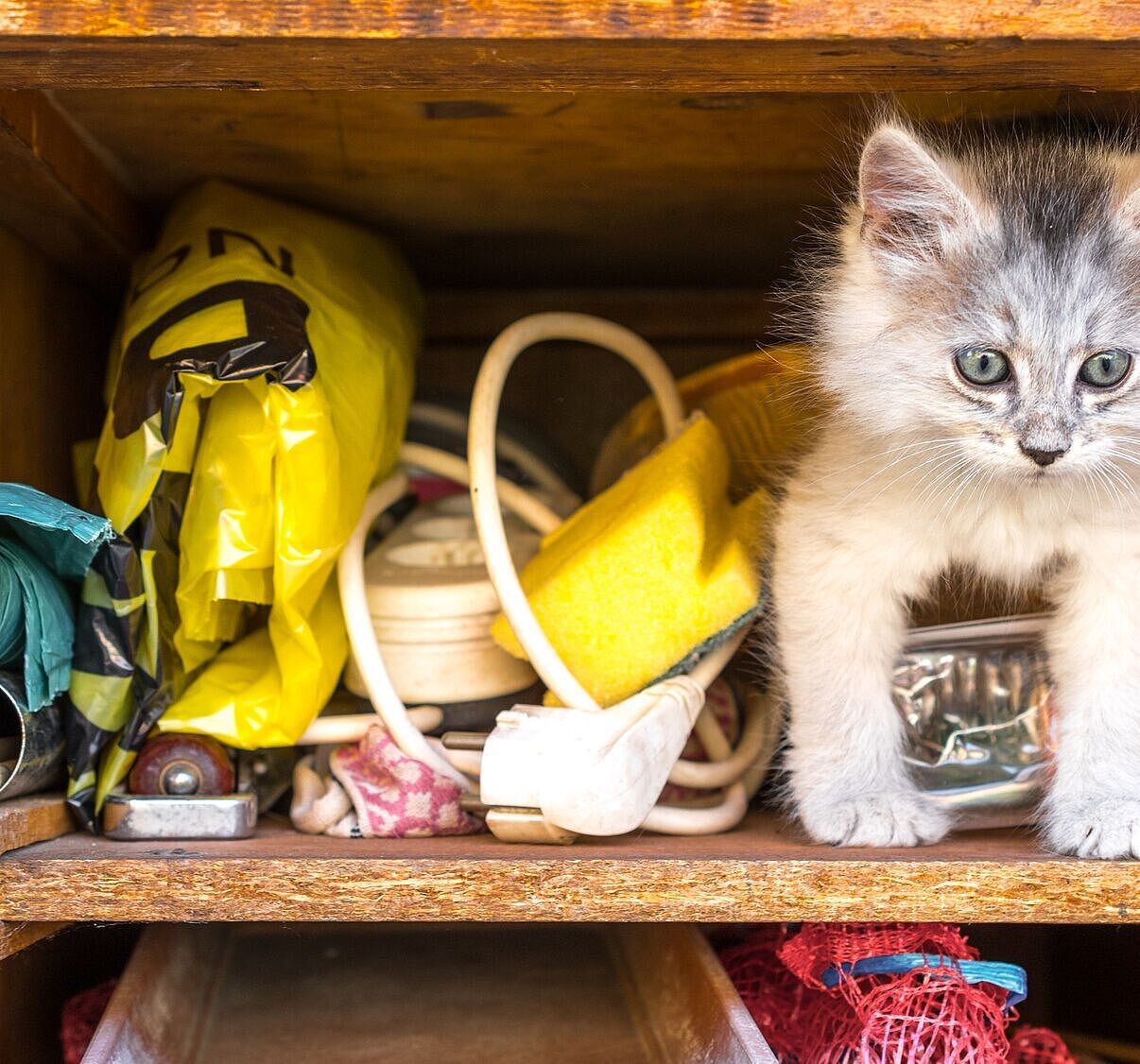 Schublade mit Katze und Kleinkram