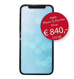Beispiel für ein Pfand-Darlehen: EUR 840 für ein iPhone 12 Pro Max 512 GB