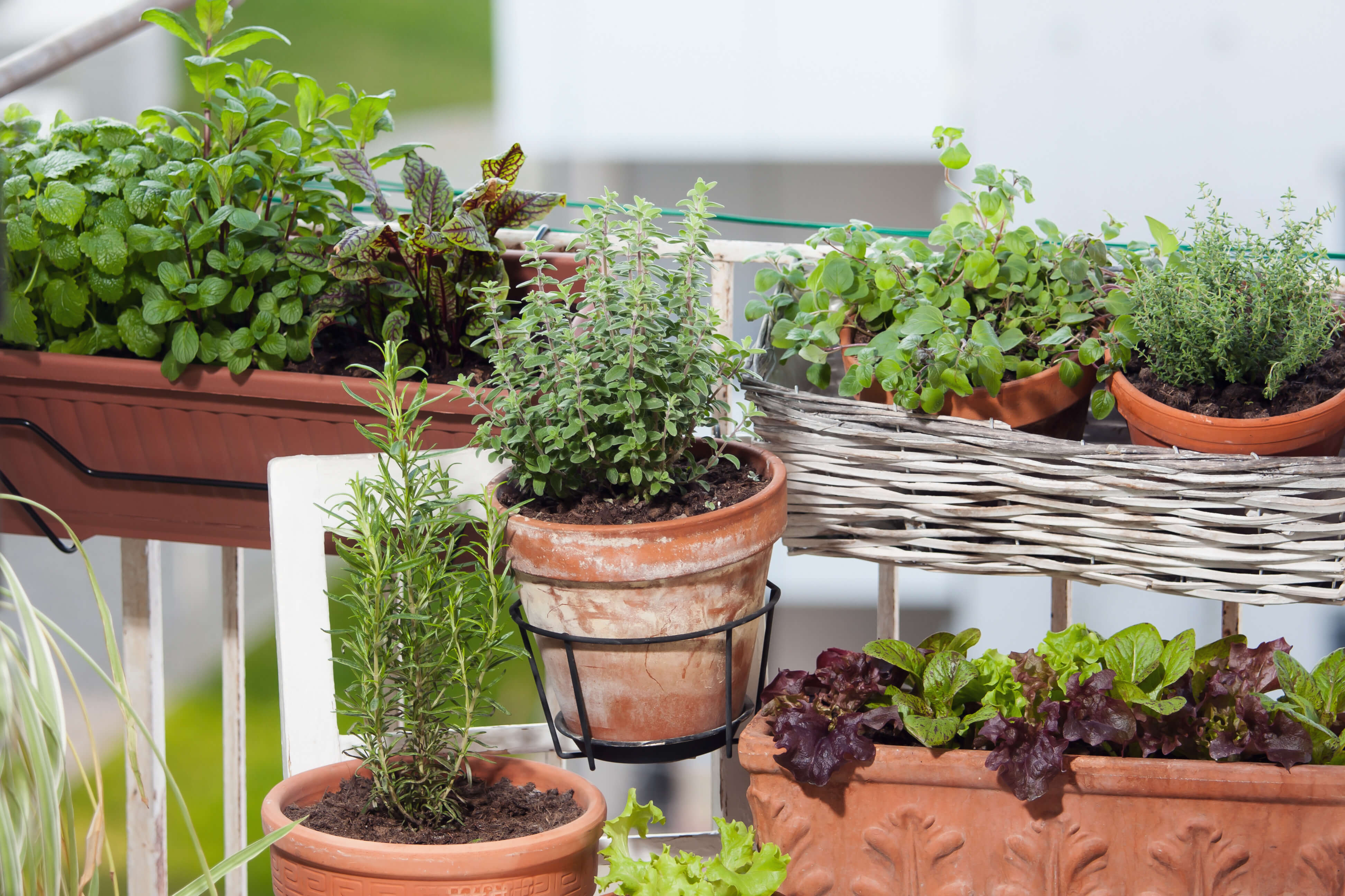 Balkon Idee für Kräuter Balkon Deko Idee für Kräuter